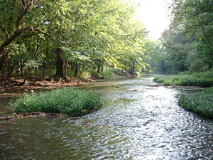 environmental-consulting2